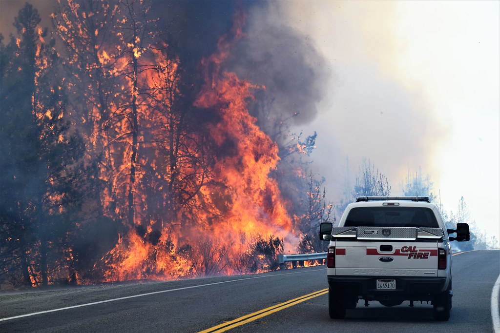 Bureau of Land Management California