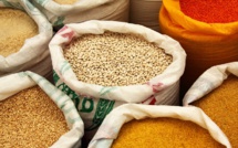 UN hopes grain deal will alleviate famine