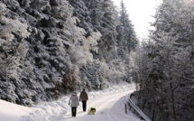 German meteorologists forecast mild winter