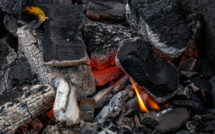 IEA: 2022 will be a record year for global coal consumption