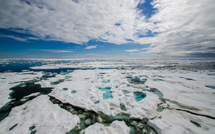 Scientists: Arctic territories are transforming from CO2 sink to CO2 source