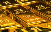 Citi predicts gold's price to rise to $3000 within three months